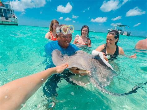 The Ultimate Guide To Swimming With Stingrays In The Grand Cayman