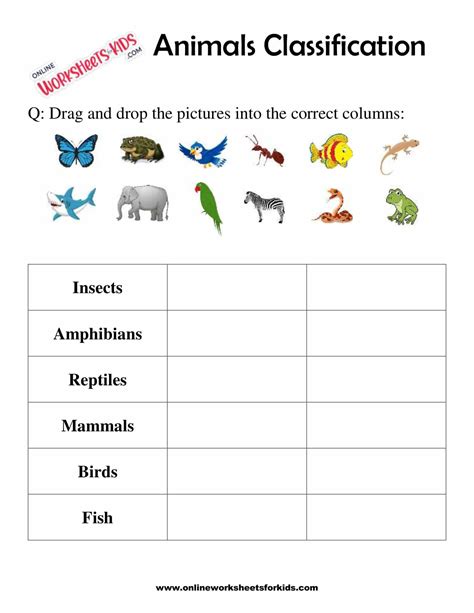Animals Classification Worksheet For 1st Grade 4