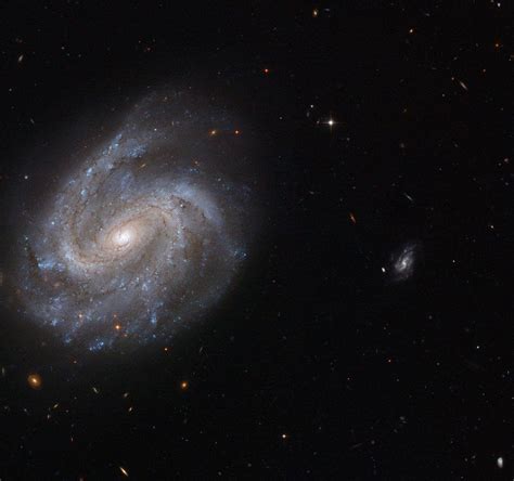 Galaxias espirales , son colecciones enormes de miles de millones de estrellas, de las que muchas de ellas se agrupan en forma de disco, con un abultamiento esférico central con estrellas en su interior. Un fósil en la fabricación. Descubierto por el astrónomo ...