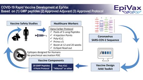 In this study, data from israel's largest health care. COVID-19 Vaccine development - EpiVax, Inc. - Informatics ...