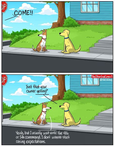 Expectations Funny Dog Memes Dog Comics Funny Dogs