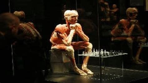 Body Worlds Exhibit Slated For Science Centre Cbc News