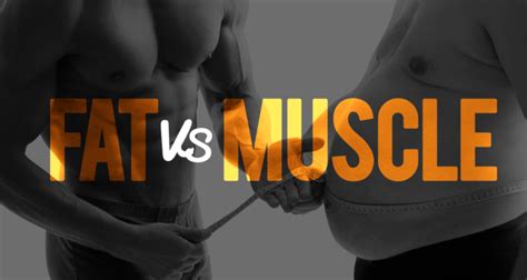 Fat Vs Muscle Understanding The Truth Behind The Images
