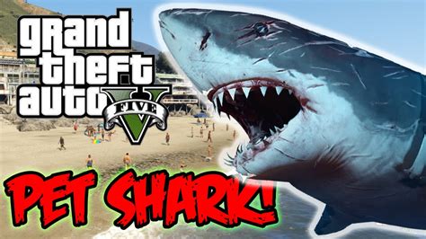 Gta 5 Pc Mods Pet Shark Mod Turn Chop Into A Shark Funny Moments