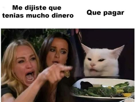 ¡los Mejores Memes Del Famoso Gato En La Mesa