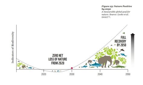 Six Charts That Show The State Of Global Biodiversity Loss World