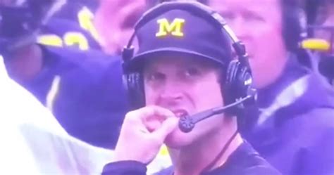 Video Michigans Jim Harbaugh May Have Picked His Nose And Eaten It