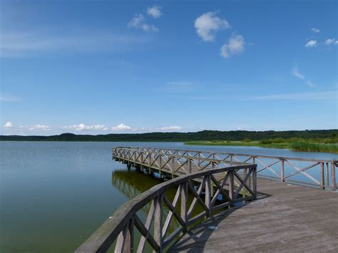 Free Images Sea Coast Water Nature Forest Dock Sky Boardwalk