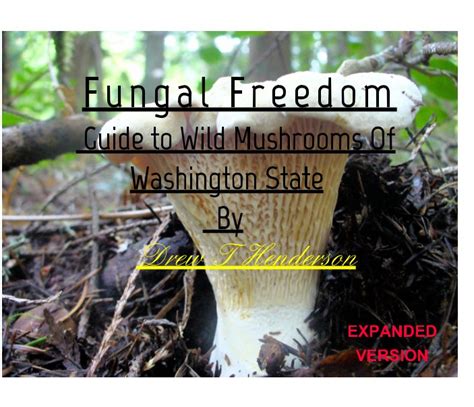 Fungal Freedom A Guide To Wild Mushrooms Of Washington