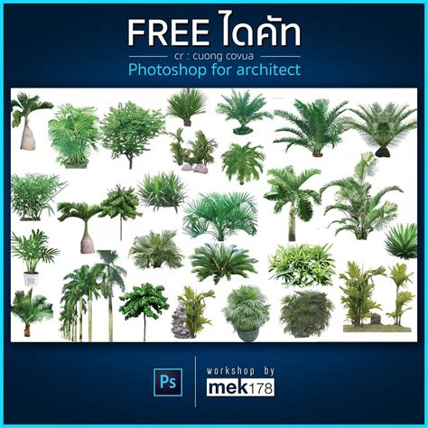 10 Psd Plants File For Post Production