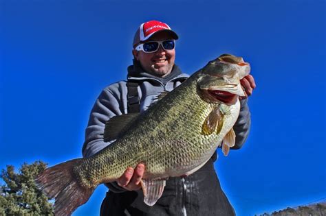 15 2 Pound Largemouth Bass Catch Should Shatter Tennessee State Record