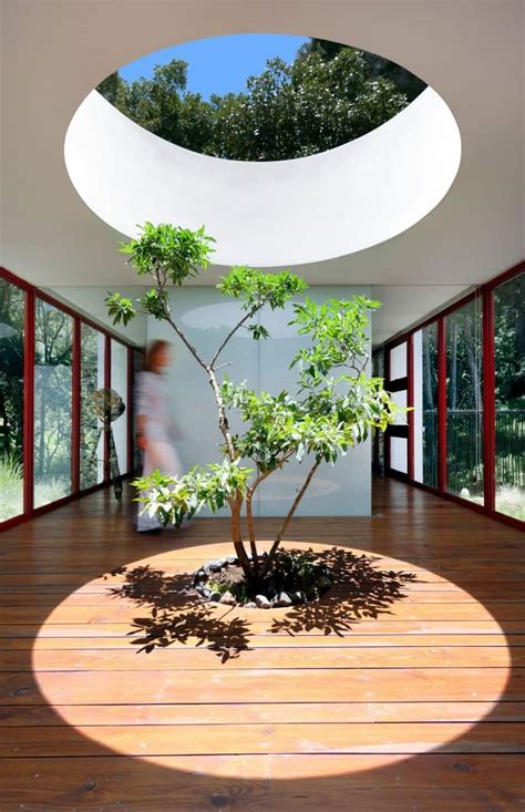 Homes Built Around Trees 13 Creative Examples