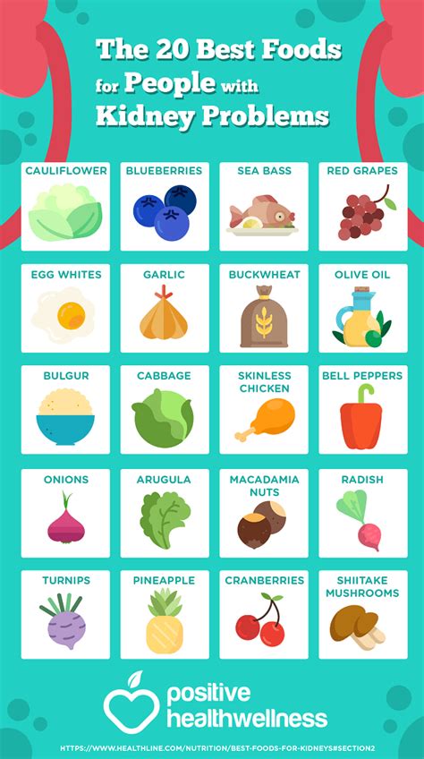 The 20 Best Foods For People With Kidney Problems Infographic