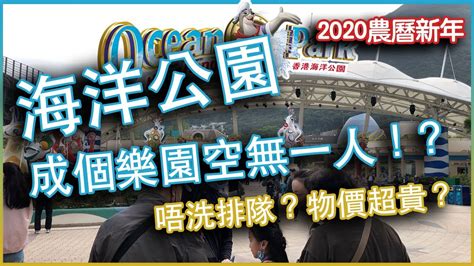 Ocean park hong kong summer promotion. 【海洋公園】| 新年假期的海洋公園 | 成個樂園空無一人!？| 一日玩得曬所有機動遊戲？| VR跳樓機初體驗 |||TT ...