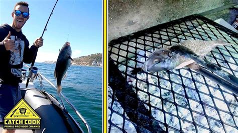 Fishing In Table Bay Catch Cook Cape Town South Africa Youtube