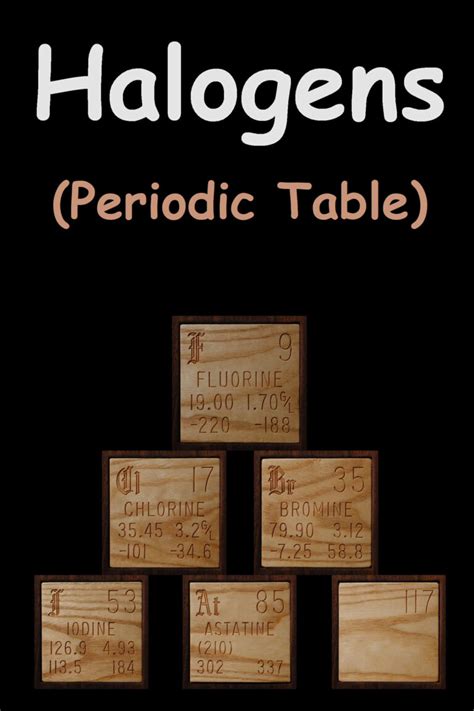 Halogens Periodic Table Properties Uses And Facts Newtondesk