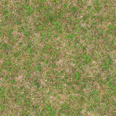 Texture  Ground Grass Seamless
