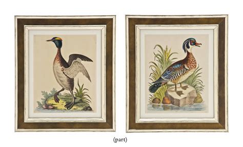 TWELVE HAND-COLOURED ENGRAVINGS FROM 'A NATURAL HISTORY OF UNCOMMON BIRDS' , GEORGE EDWARDS ...