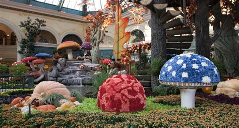 Bellagio Resort Creates Enchanted ‘into The Woods Experience With