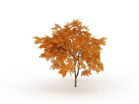 Autumn Tree 3d Model 3ds Max Files Free Download Modeling 31366 On Cadnav