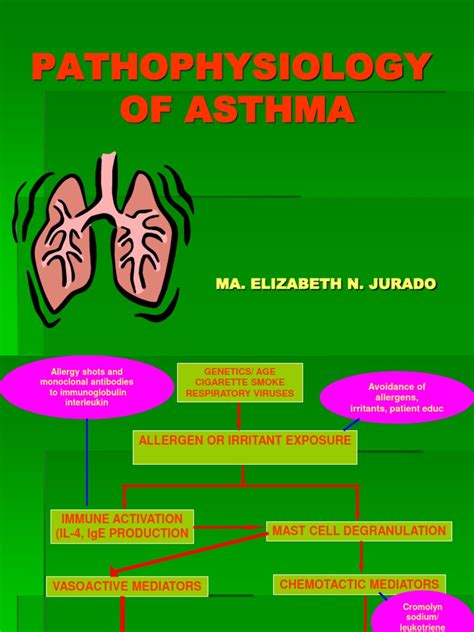 Pathophysiology Of Asthma