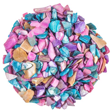 Seashell Chips | Hobby Lobby | 1571256