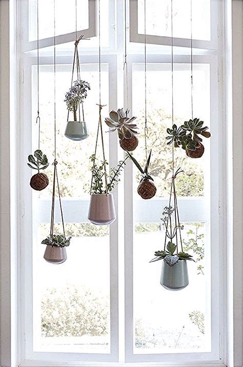 See more ideas about window plants, plants, garden windows. Pin by Eva Grau on 5 flower | Indoor window planter ...