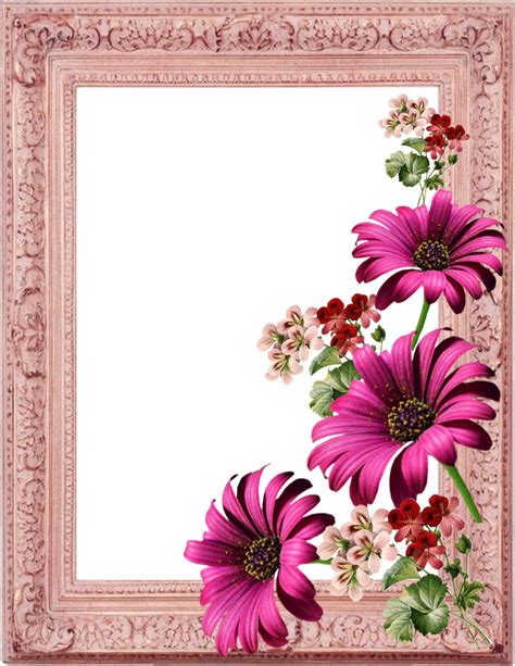 Picture Frame Collection 8 Free Stock Photo Public Domain Pictures