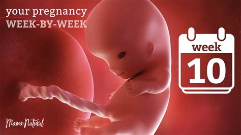 10 Weeks Pregnant Natural Pregnancy Week By Week Youtube