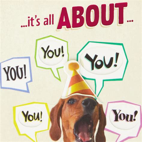 All About You Dog Funny Birthday Card For Mom Greeting Cards Hallmark