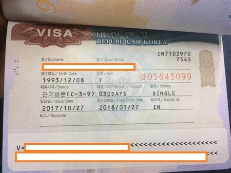 Pengalaman Cara Buat Visa Korea Selatan Sendiri Tanpa Travel