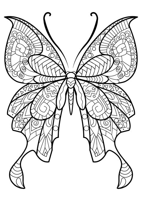 Papillon jolis motifs 8  Papillons & insectes  Coloriages difficiles