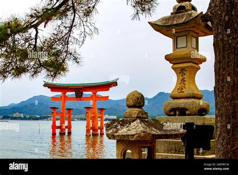 Japanese Stone Lanterns With The Floating Torii Gate Of Itsukushima