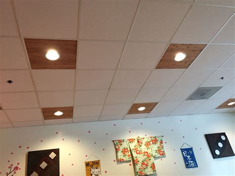 Mounts directly to a 3 or 4 junction box and is only 1 thick. Great alternative to drop ceiling lighting (With images ...