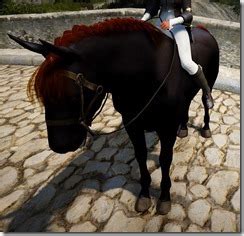 Without the right gear, you will have a difficult time progressing in the game. BDO Fashion | Tier 5 Horse (Black Desert Online)