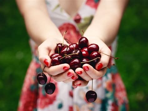 Types Of Cherries Complete Guide 2024 Northern Nester