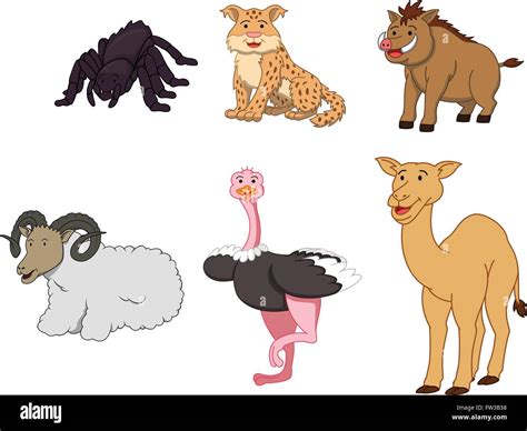 Desert animal cartoon illustration Stock Vector Image & Art - Alamy
