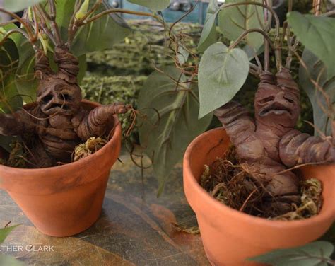 Harry Potter Mandrake Plants Etsy