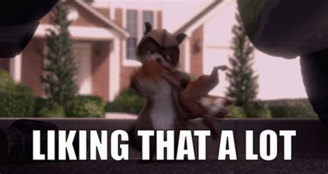 Rj Raccoon Over The Hedge GIF Rj Raccoon Over The Hedge Liking That A Lot Discover Share GIFs
