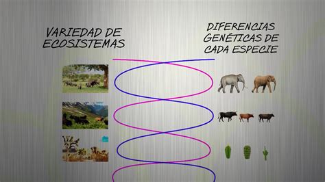 La importancia de la diversidad biológica un factor clave para