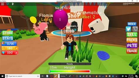 Roblox Flamingo Balloon Simulator 2 Youtube