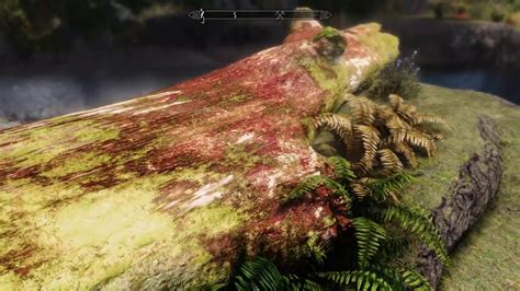 Skyrim Spécial édition Ultra Réalistic Graphic Mod