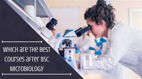 Which Are The Best Courses After Bsc Microbiology