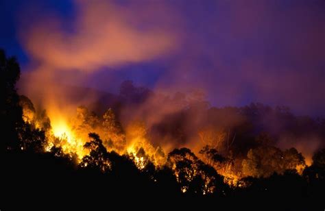 Why We Must Be Ready For Bushfires This Summer Pursuit By The University Of Melbourne