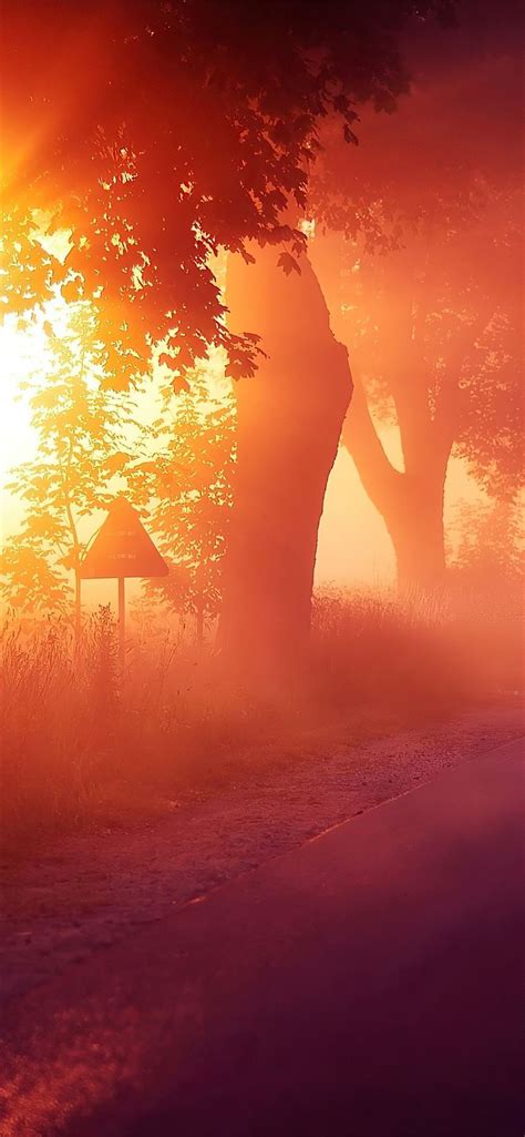 Sun Rays Mist Road 4k Iphone 11 Wallpapers Free Download
