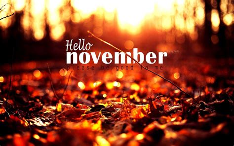 Hello November Computer Wallpapers Top Hình Ảnh Đẹp