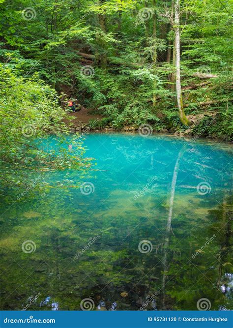 Pond In The Woods Ochiul Beiului Caras Severin County Romania Stock