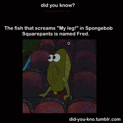 Fred Spongebob Favorite Character Make Me Laugh