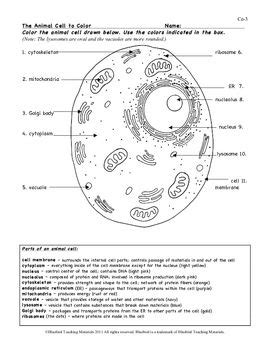 Animal cell coloring page from biology category. Animal Cell Color Page, Worksheet, and Quiz Ce-3 | Animal ...