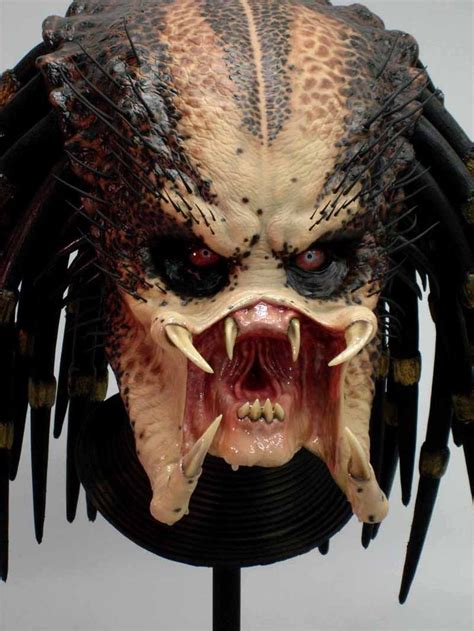 Thoughts on predator 2?predator 2 (self.predator). 108 best Predator images on Pinterest | Alien vs predator ...
